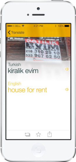 Lango universal translator app detail screen