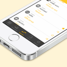 Lango universal translator app bottom detail